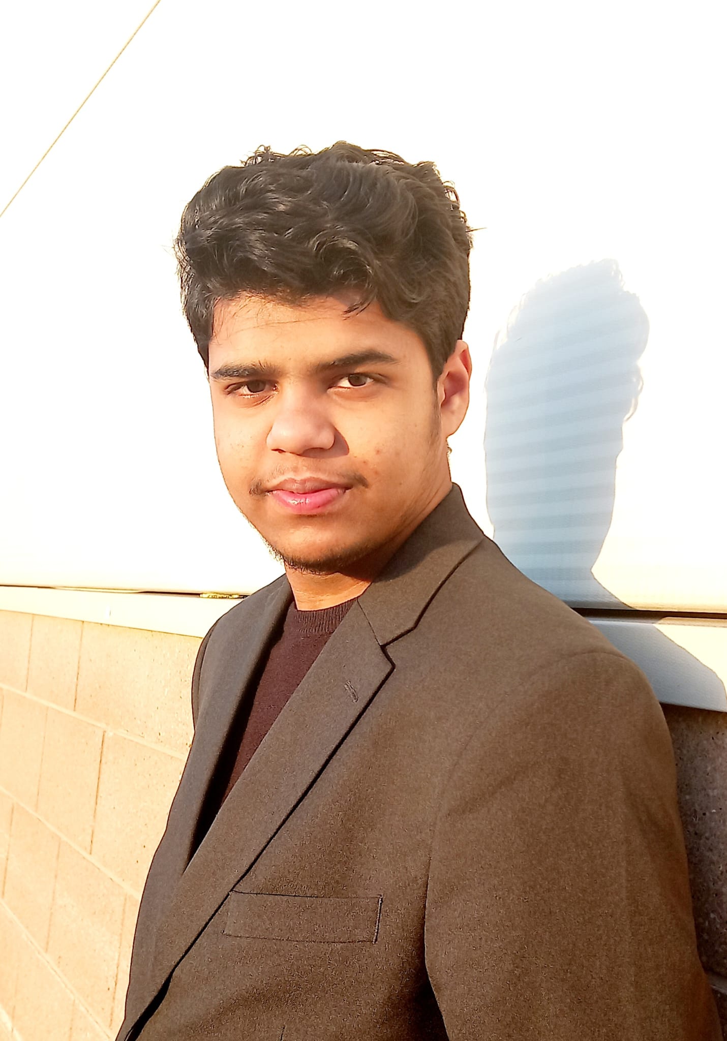 Developer